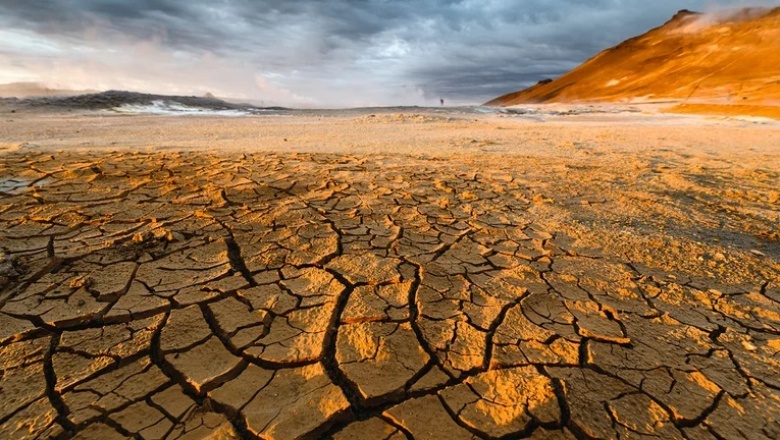 Alerta de la ONU por la degradación del suelo: Una superficie del tamaño de América del Sur se secará para 2050