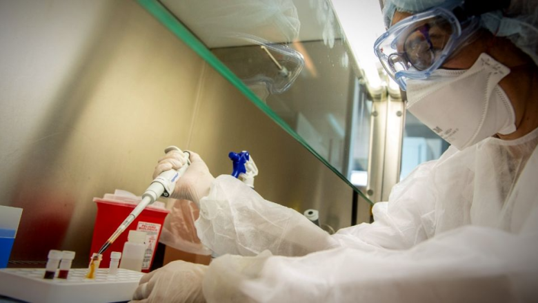 El estudio determinó una "alta probabilidad" de que sea viruela símica