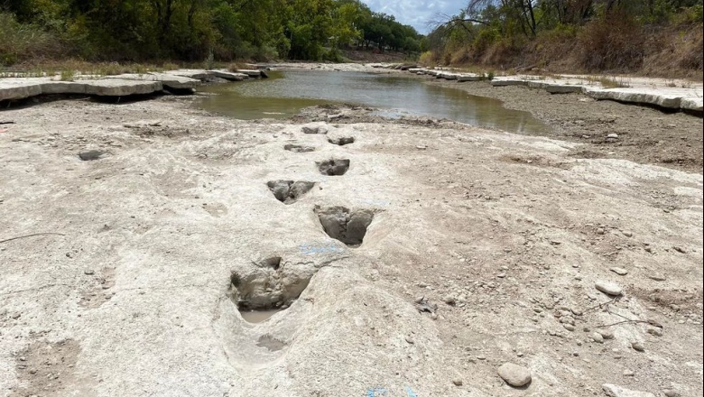 Terópodos en Texas, 113 millones de años después por culpa de la sequía