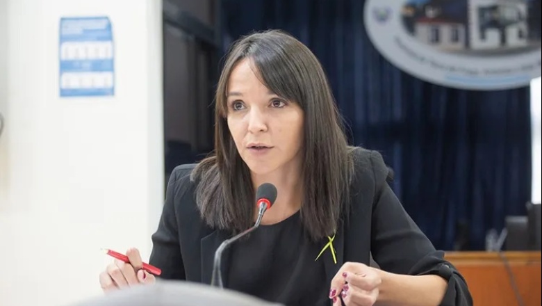 "Llevó su tiempo, pero saldrá una Ley oncopediátrica que será modelo para todo el país"