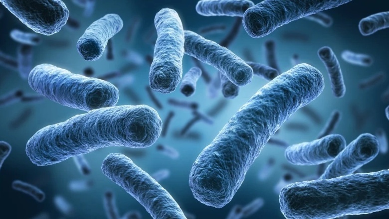 Alerta por la Legionella: Las claves de expertos para que la bacteria no crezca en el hogar