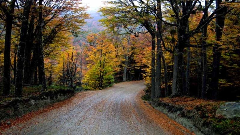 Nación destinará más de 500 millones de pesos para obras en el Parque Nacional TDF