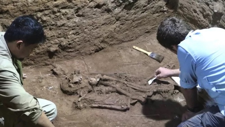 Descubren que los humanos hacían cirugías hace 31.000 años