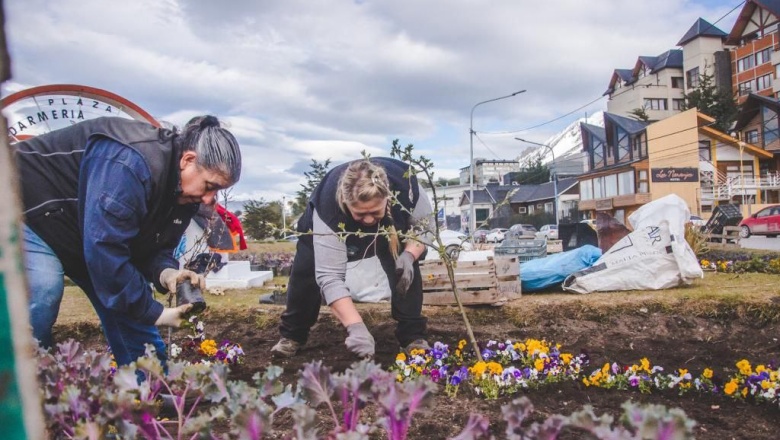 Ponen en valor parques, jardines e infraestructura urbana