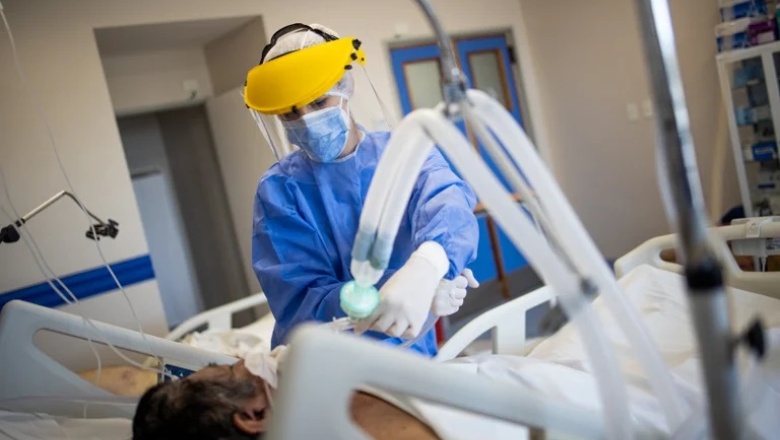 El coronavirus altera la microbiota del intestino y aumenta el riesgo de otras infecciones