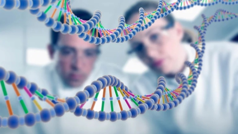 ¿La altura de una persona se debe sólo a la genética?
