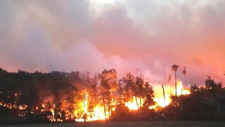 Incendio en "Corazón de la Isla": "Tiene unos 10 kilómetros de desarrollo y 1,5 kilómetros de amplitud"