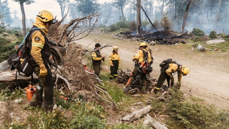 Continúan combatiendo el incendio forestal