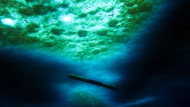 Un robot submarino estudió el preocupante deshielo debajo de la Antártida: Esto es lo que encontró