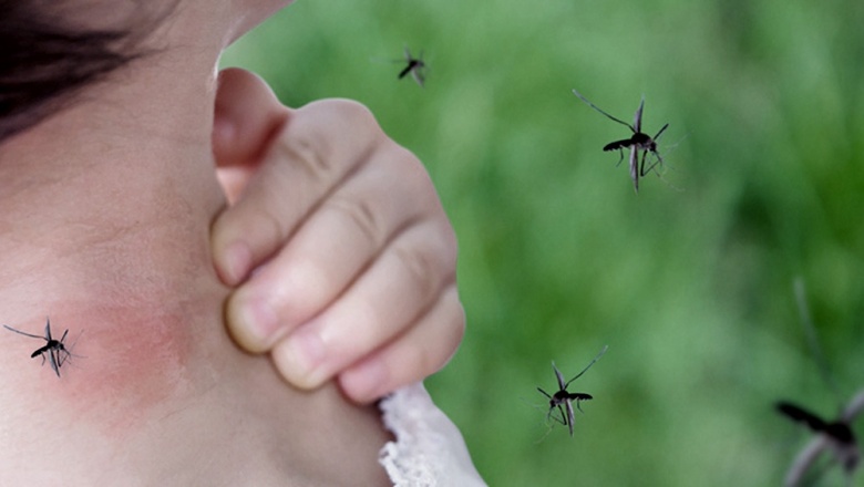 Argentina “vive el mayor brote de dengue”, superior al de 2016 y 2020