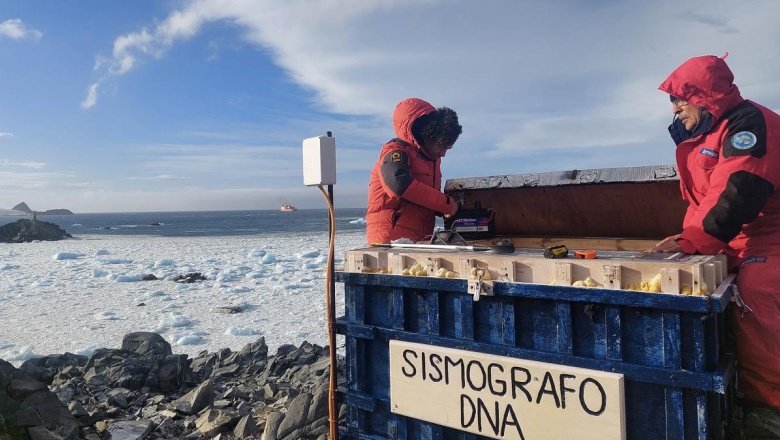 Cómo es y qué hace la red argentina de sismógrafos en la Antártida