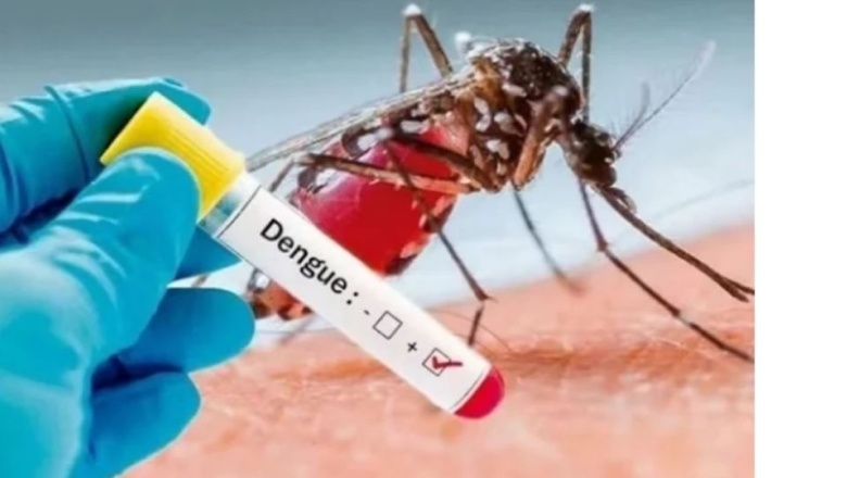 Detectan en Tierra del Fuego 7 casos de Dengue