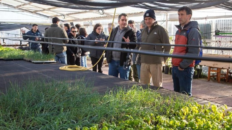 Avances en materia de soberanía alimentaria y producción local