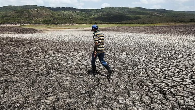 Comenzó el fenómeno El Niño a nivel global: alerta por calor extremo, sequías y otras alteraciones climáticas en 2023