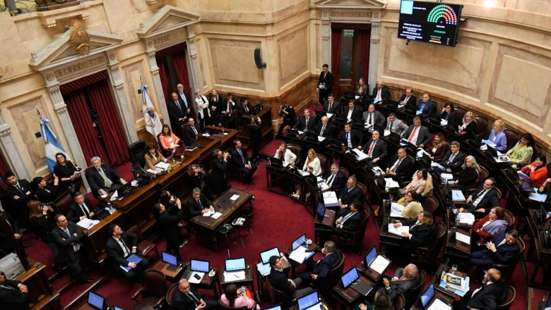Una por una, las leyes de la maratónica sesión en el Senado