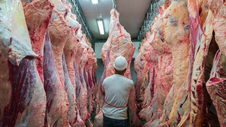 La Argentina logra un nuevo récord de embarques de carne vacuna, se queda con 8% del mercado mundial y se consolida como quinta exportadora