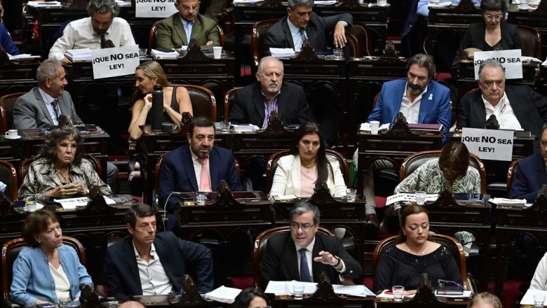 Ley Ómnibus: Cómo sigue el trámite parlamentario tras la aprobación en general en Diputados