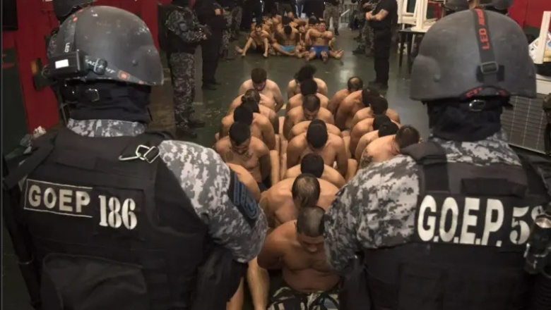 Cómo Rosario se volvió "una anomalía narco" en Argentina