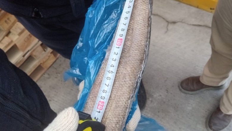 Merluza Negra: Abrieron las recámaras del buque Tai An en Ushuaia y encontraron un desastre ecológico