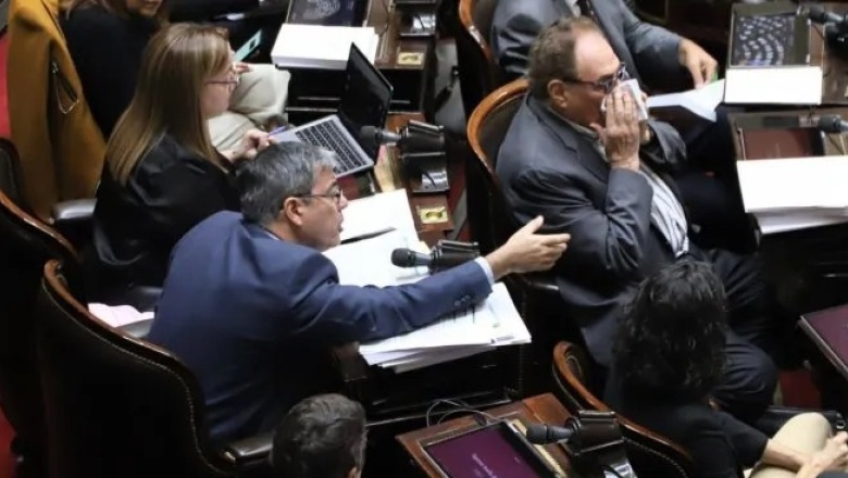Ley Bases: Diputados aprobó las privatizaciones de empresas públicas