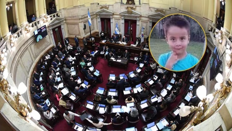 Cómo es el proyecto de ley sobre la trata de niños que aprobó el Senado en medio de la búsqueda de Loan