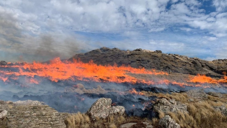Córdoba: se quemaron mas de 3.500 hectáreas del Cerro Champaquí