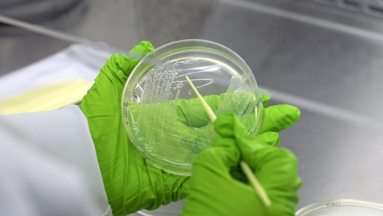 Alarma por una inédita suba de muertes por infecciones comunes que ahora resisten a los antibióticos