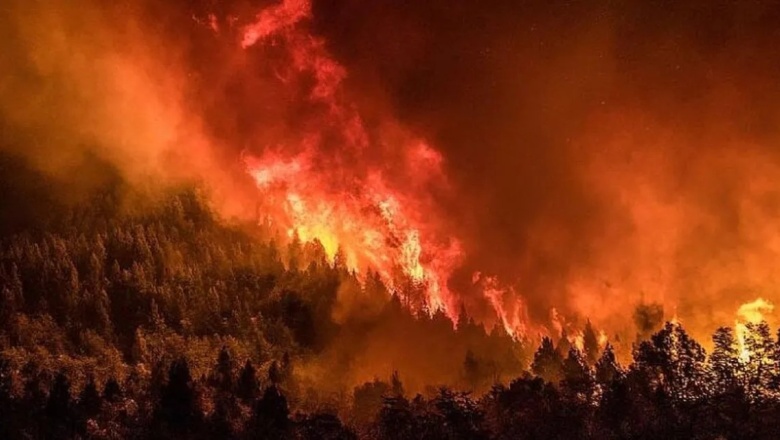 Afirman que los incendios en Nahuel Huapi tardarán más de tres meses en controlarse