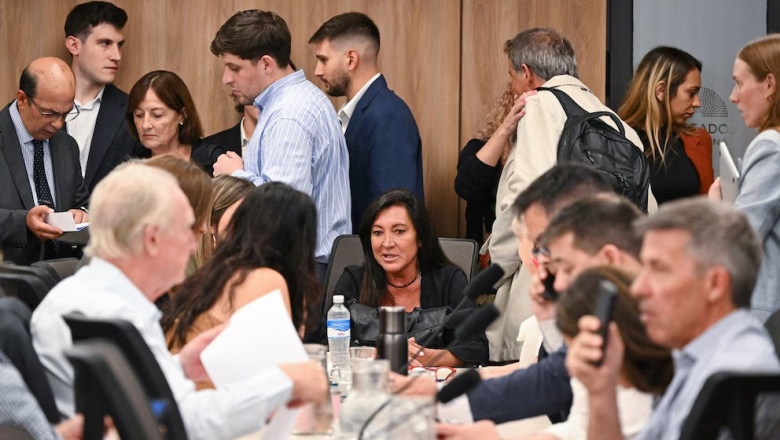 El oficialismo consiguió dictamen de Ficha Limpia, pero la oposición reclama eliminar artículos y sumar delitos