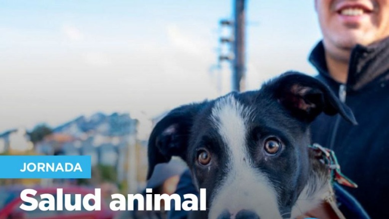 Nueva jornada de salud animal en el Paseo de las Rosas