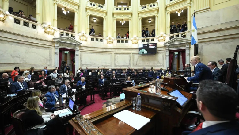 El Senado rechazó el veto en Discapacidad y la ley deberá ser promulgada