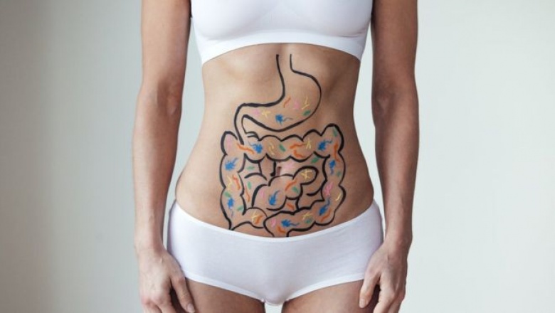 Por qué lo llaman "el segundo cerebro" y otros 6 datos sorprendentes sobre el intestino