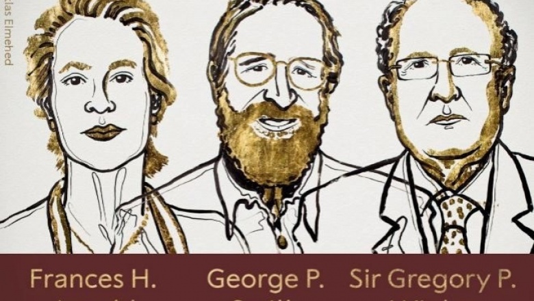 Nobel de Química para los científicos que copiaron la evolución para curar enfermedades