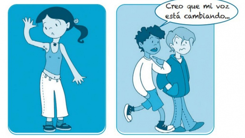 Nivel por nivel, qué enseñan los manuales de educación sexual integral