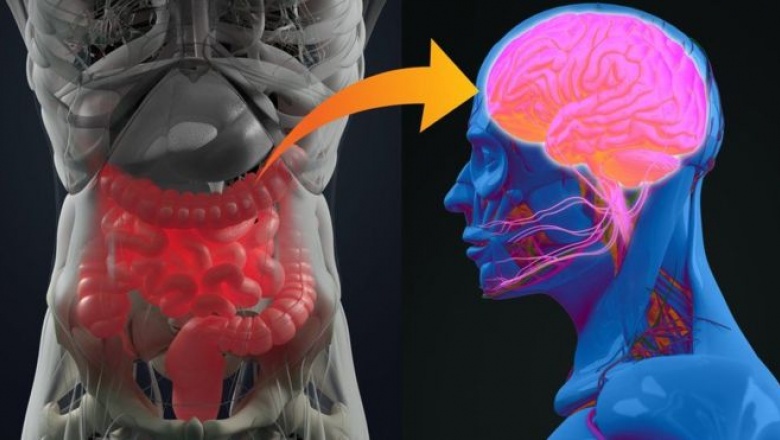 Una investigación reveló que la enfermedad de Parkinson podría originarse en el apéndice