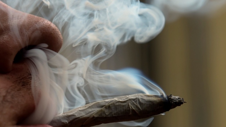 Advierten el riesgo de sufrir esquizofrenia en los jóvenes que consumen cannabis