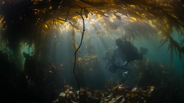 National Geographic estrenó el documental “Yaganes” filmado en Tierra del Fuego
