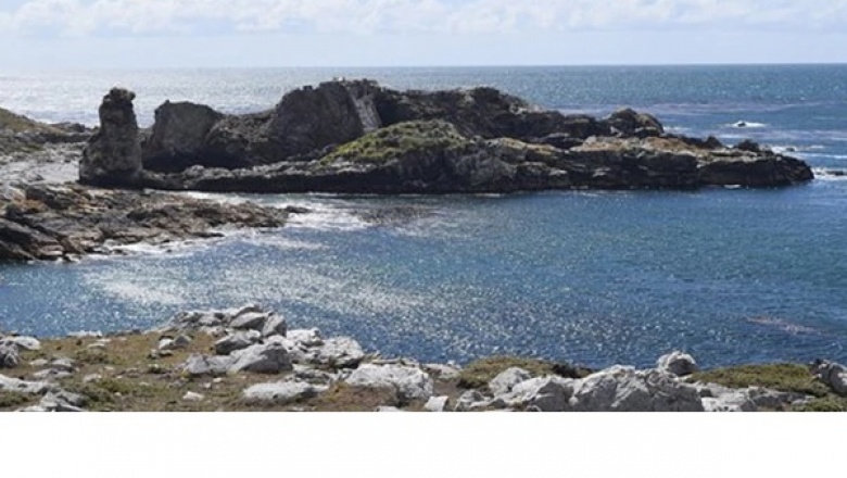 Después de 150 años, ponen a la venta una isla que forma parte del archipiélago de las Malvinas