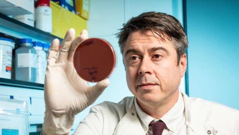 La bacteria más mortal reside en nuestra piel