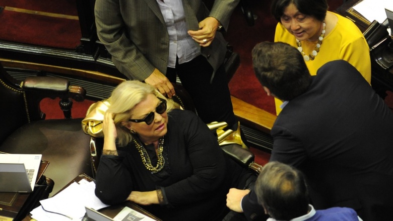 Carrió pide que el protocolo de uso de armas para la Policía pase por el Congreso
