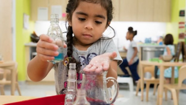 Método Montessori: cómo es la educación que recibieron los creadores de Amazon, Google y Wikipedia