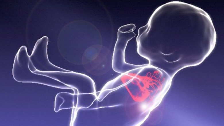 Las impresionantes imágenes de un feto moviéndose en el vientre de su madre que permiten diagnosticar mejor las cardiopatías