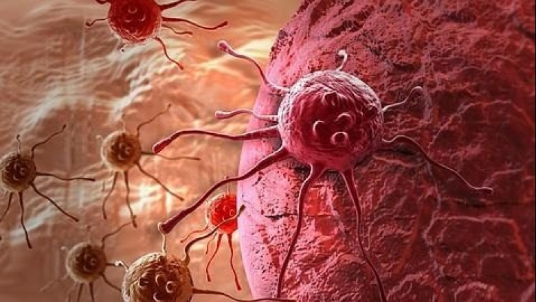 Un descubrimiento inmunológico podría servir para tratar numerosos tipos de cáncer