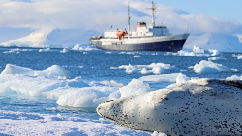 Qué respondió Rusia a Cancillería sobre el hallazo de petróleo en Antártida
