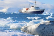 Qué respondió Rusia a Cancillería sobre el hallazo de petróleo en Antártida
