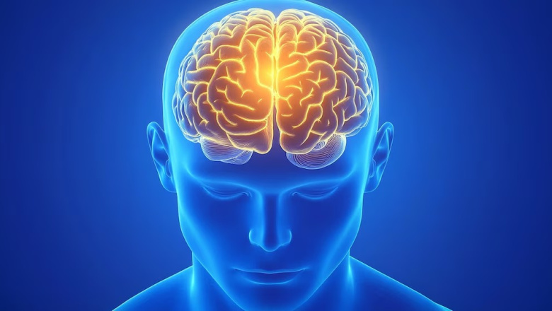Cómo potenciar el rendimiento del cerebro y los 5 enemigos a evitar