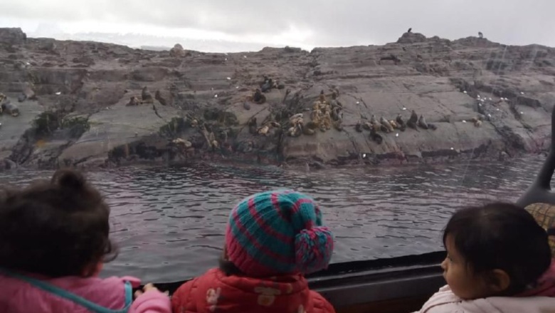 Programa de Turismo Social Municipal: Las infancias de Ushuaia navegaron por el Canal Beagle