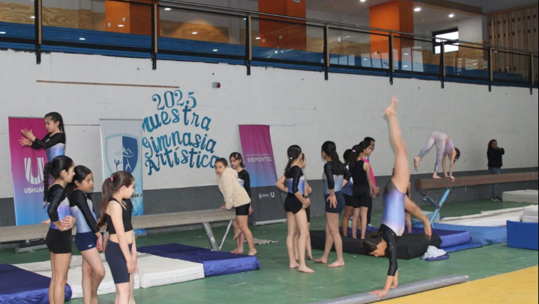 La Escuela Municipal de Gimnasia Artística, se lució en el Cochocho Vargas