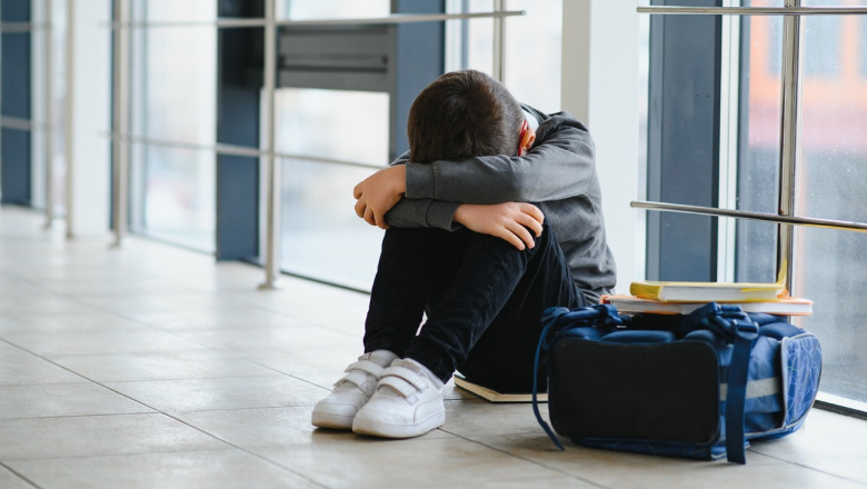 “El bullying ha ido creciendo y las redes sociales potencian la violencia”