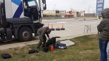 Aduana y Gendarmería confirmaron que el cargamento de cocaína detectado la semana pasada era “de máxima pureza”
